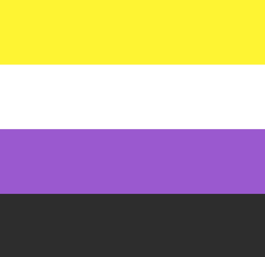 Nonbinary pride flag (2014)